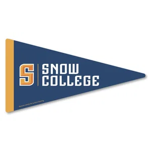 Pennant Car Sign Magnet, 7.125" x 3.75", Full-Color Imprint