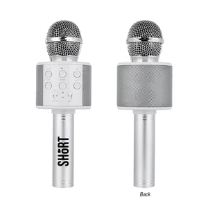 Perfect Pitch Karaoke Microphone