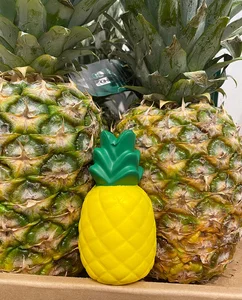 Promotional Pineapple Stress Reliever