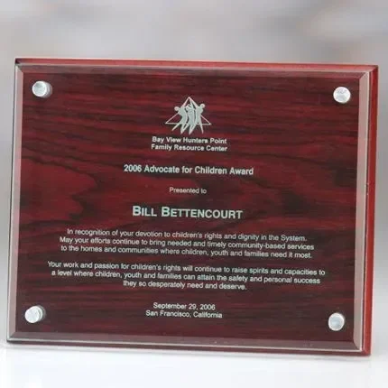 Plaque with Wooden Back β view 1