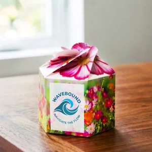 Pop-Up Seed Starter Kit