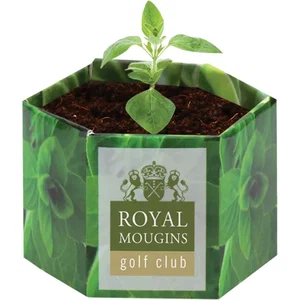 Pop-Up Seed Starter Kit