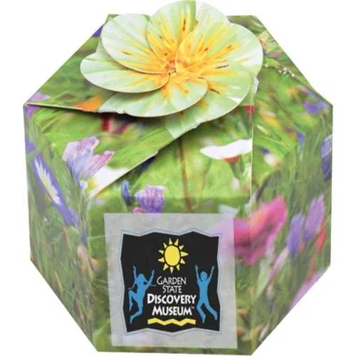 Pop-Up Seed Starter Kit container color tone with custom imprint area