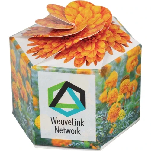 Pop-Up Seed Starter Kit color sample for sustainable promotional giveaways