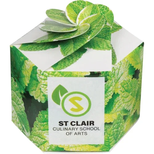 Pop-Up Seed Starter Kit color option with branded side-panel imprint