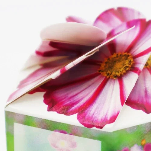 Pop-Up Seed Starter Kit container color choice with printed branding area