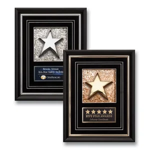 Iridescent Mica Plaque With Cast Metal Star And Shadowbox Frame