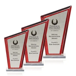 Aluminum and Rosewood Peak Award With Joined Materials