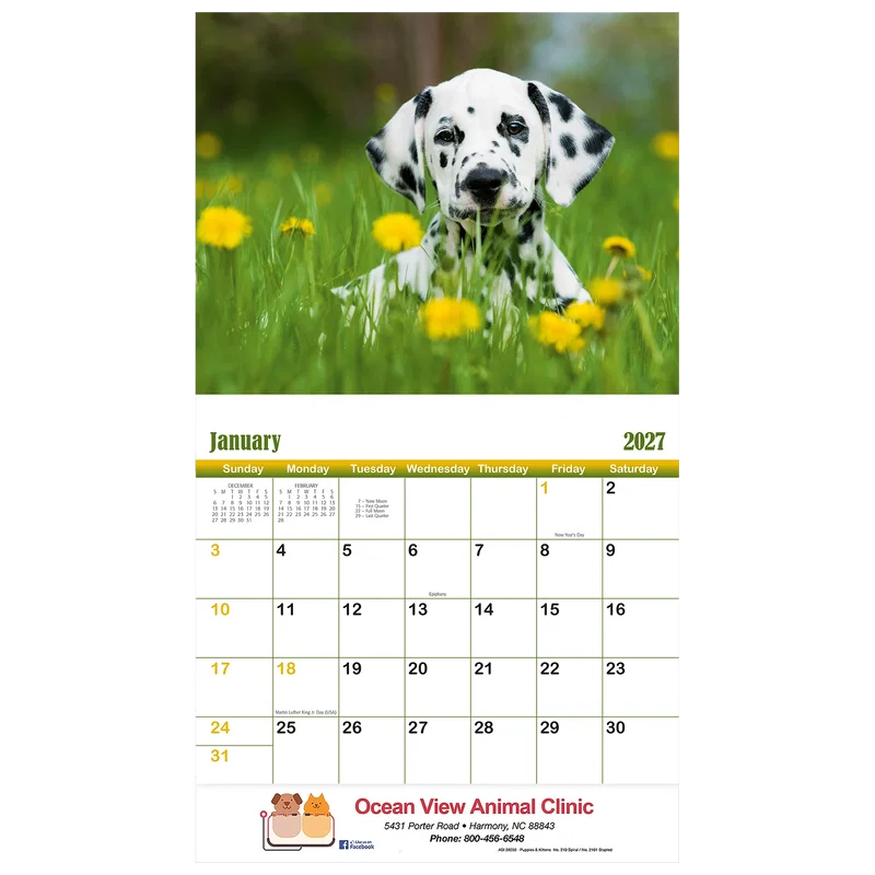 Puppies & Kittens Wall Calendar: 2025 Spiral Bound — view 4