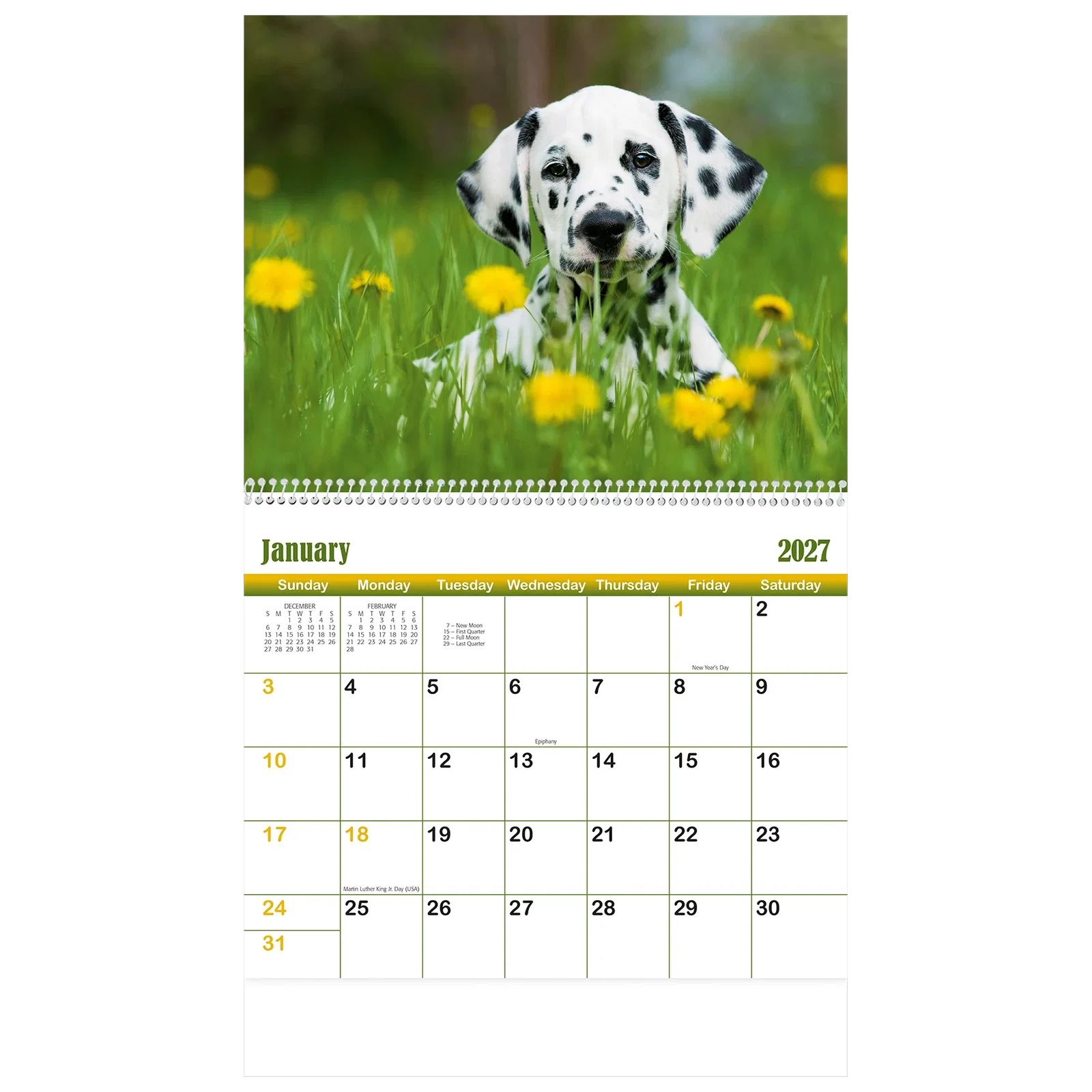 Puppies & Kittens Wall Calendar: 2025 Spiral Bound — view 6