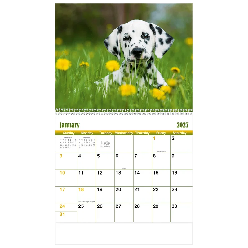 Puppies & Kittens Wall Calendar: 2025 Spiral Bound — view 6