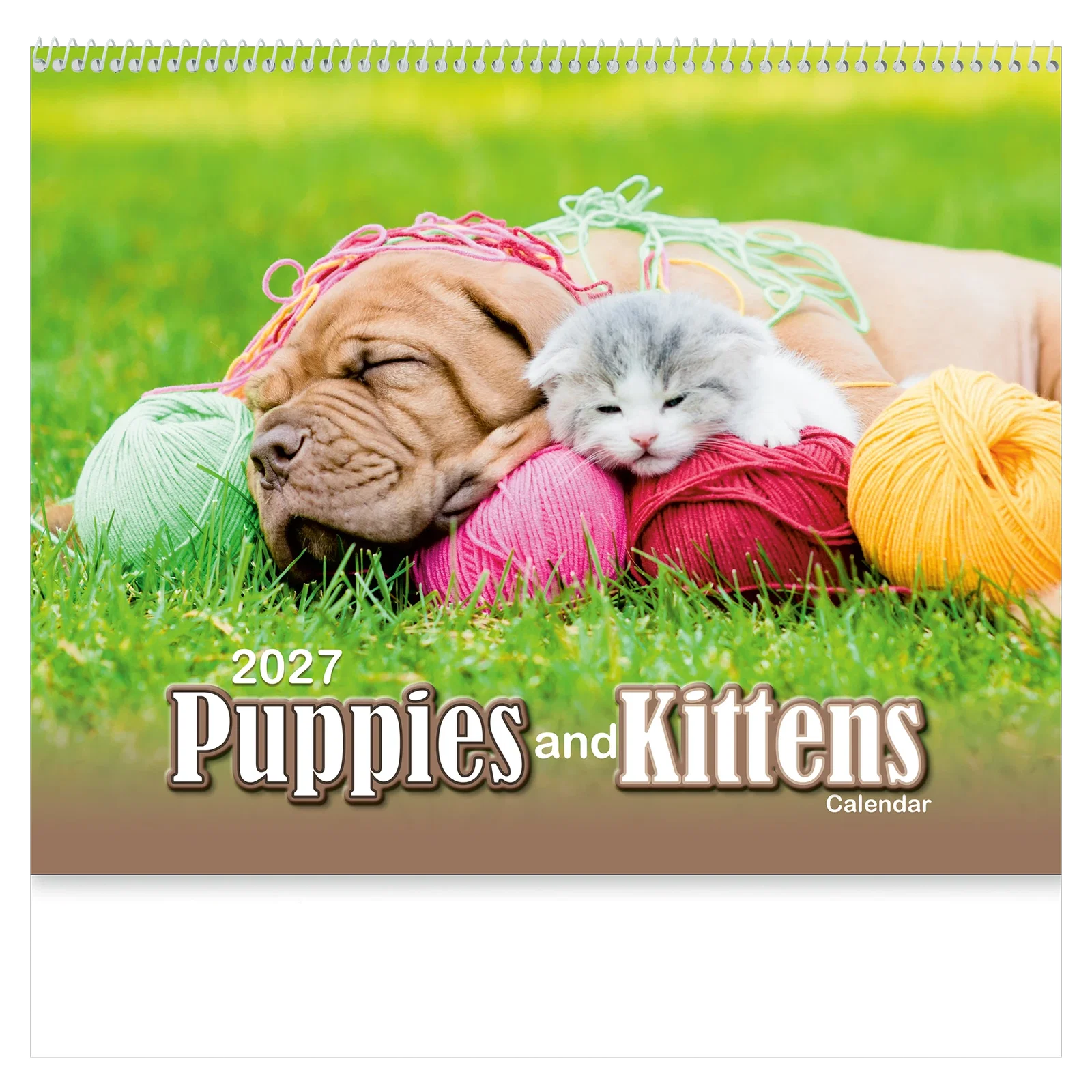 Puppies & Kittens Wall Calendar: 2025 Spiral Bound — view 7
