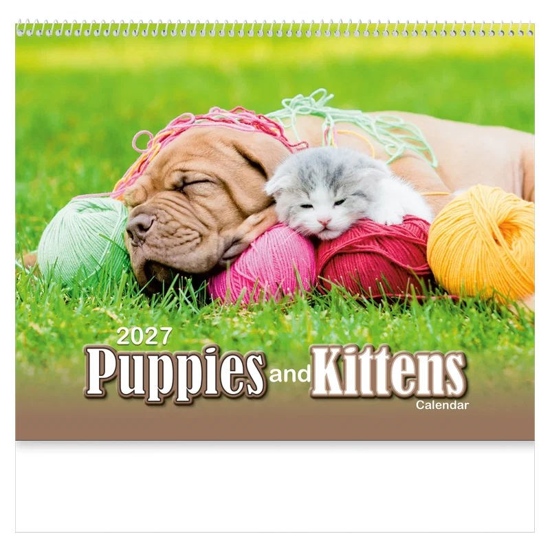 Puppies & Kittens Wall Calendar: 2025 Spiral Bound — view 7