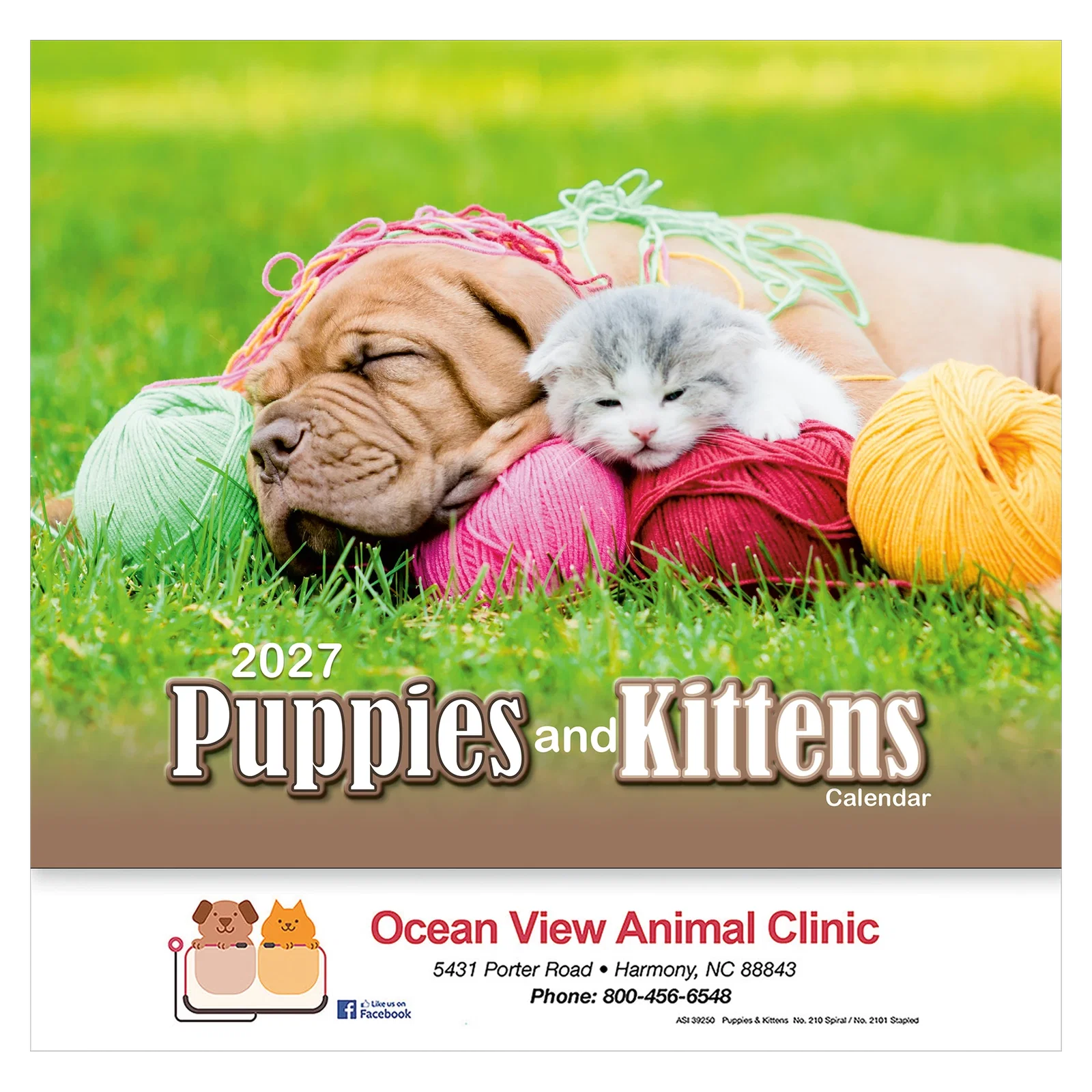 Puppies & Kittens Wall Calendar: 2025 Stapled