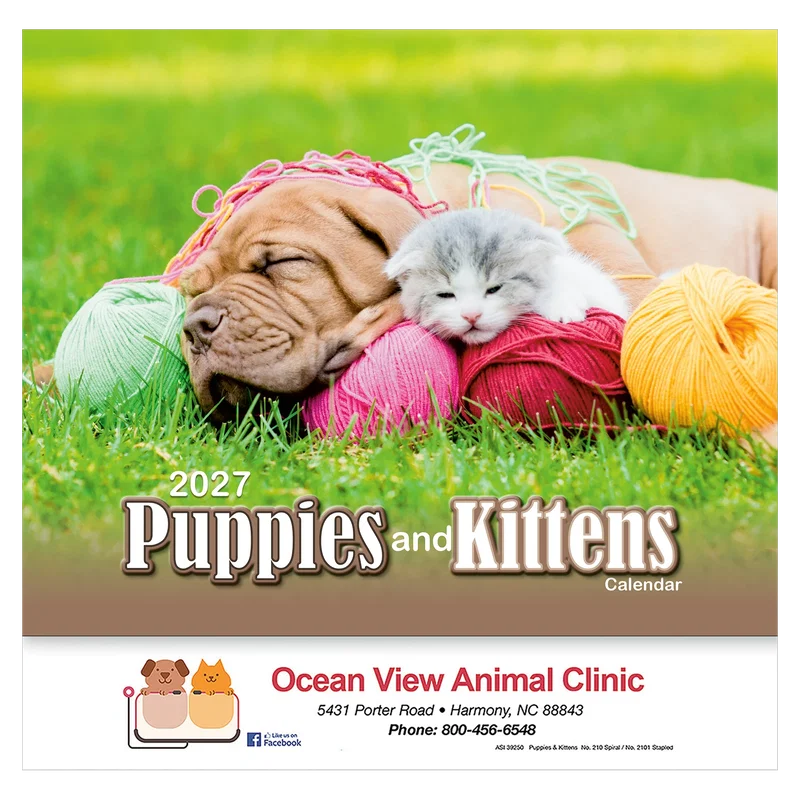 Puppies & Kittens Wall Calendar: 2025 Stapled