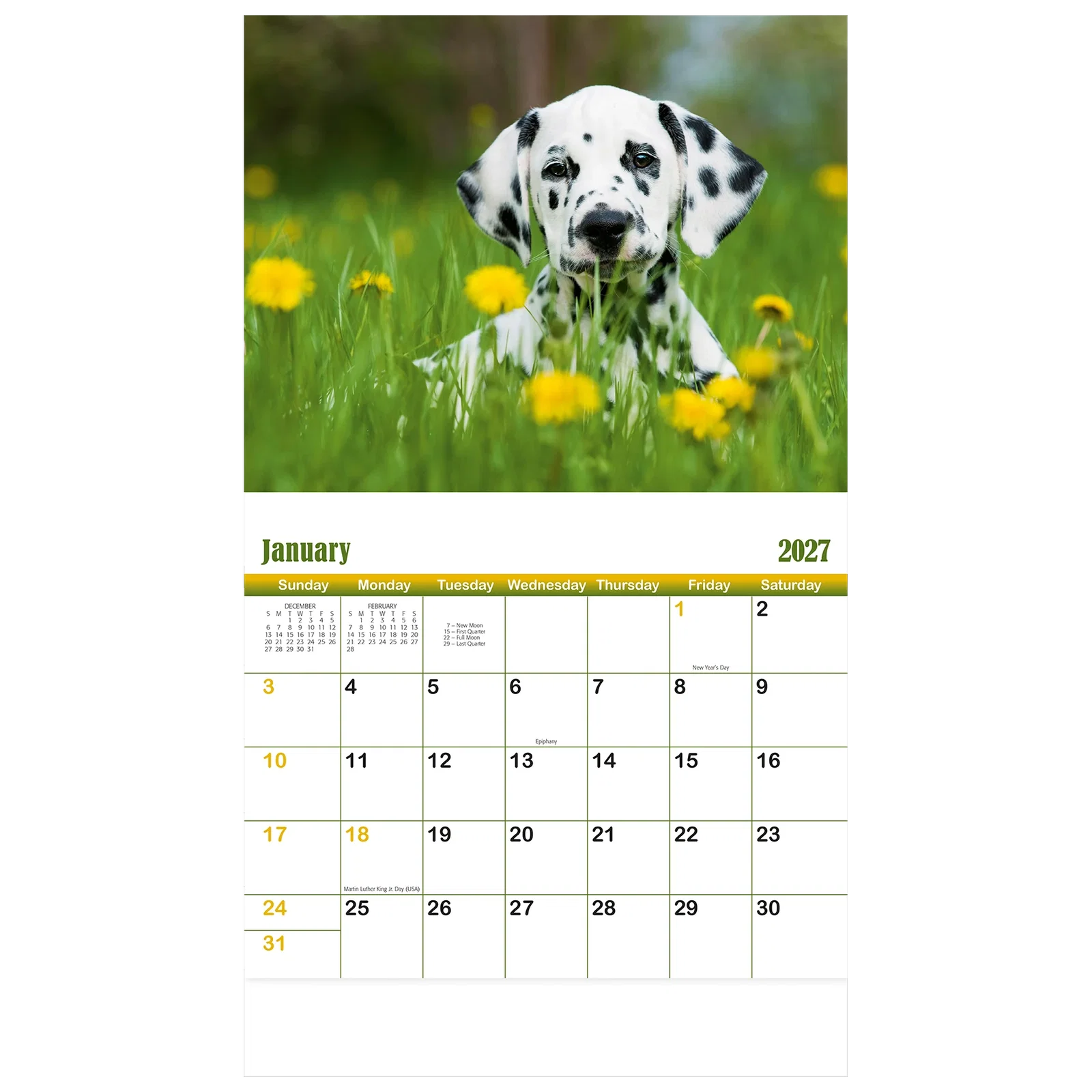 Puppies & Kittens Wall Calendar: 2025 Stapled — view 6