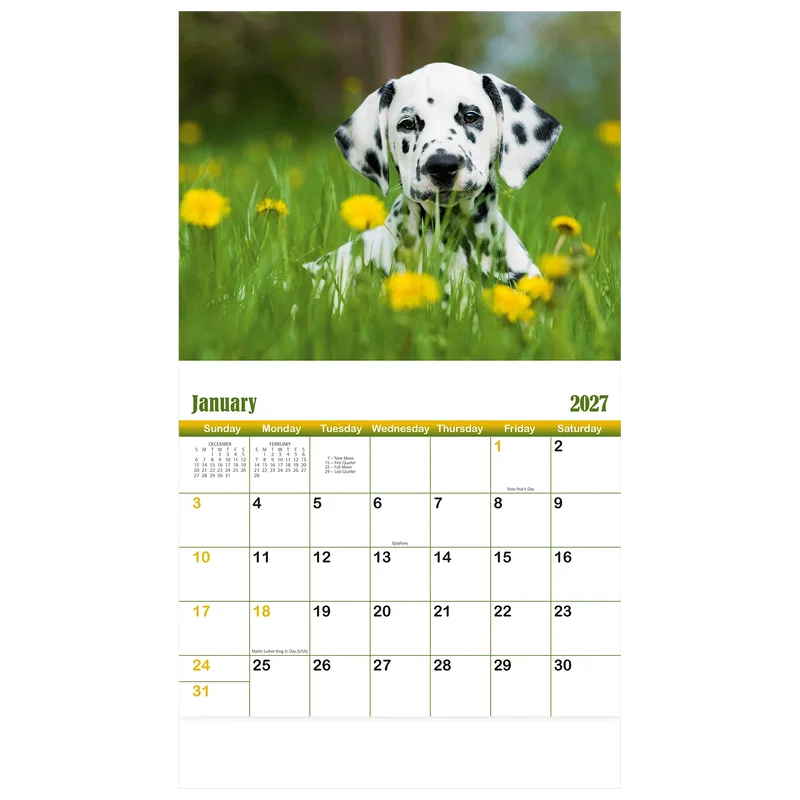 Puppies & Kittens Wall Calendar: 2025 Stapled — view 6