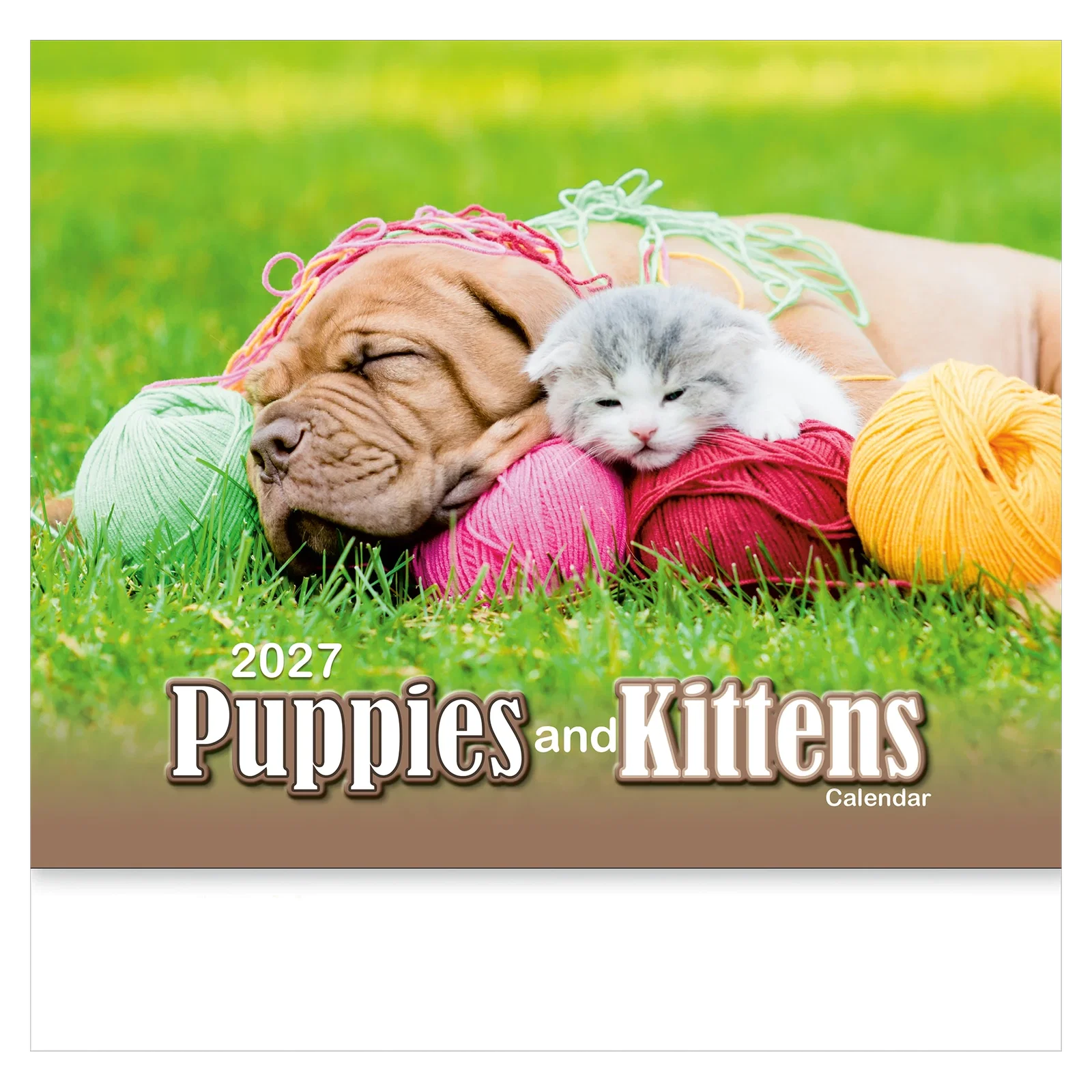 Puppies & Kittens Wall Calendar: 2025 Stapled — view 7