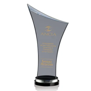 Smoky Black Crystal Free-Form Award on a Stacked Base