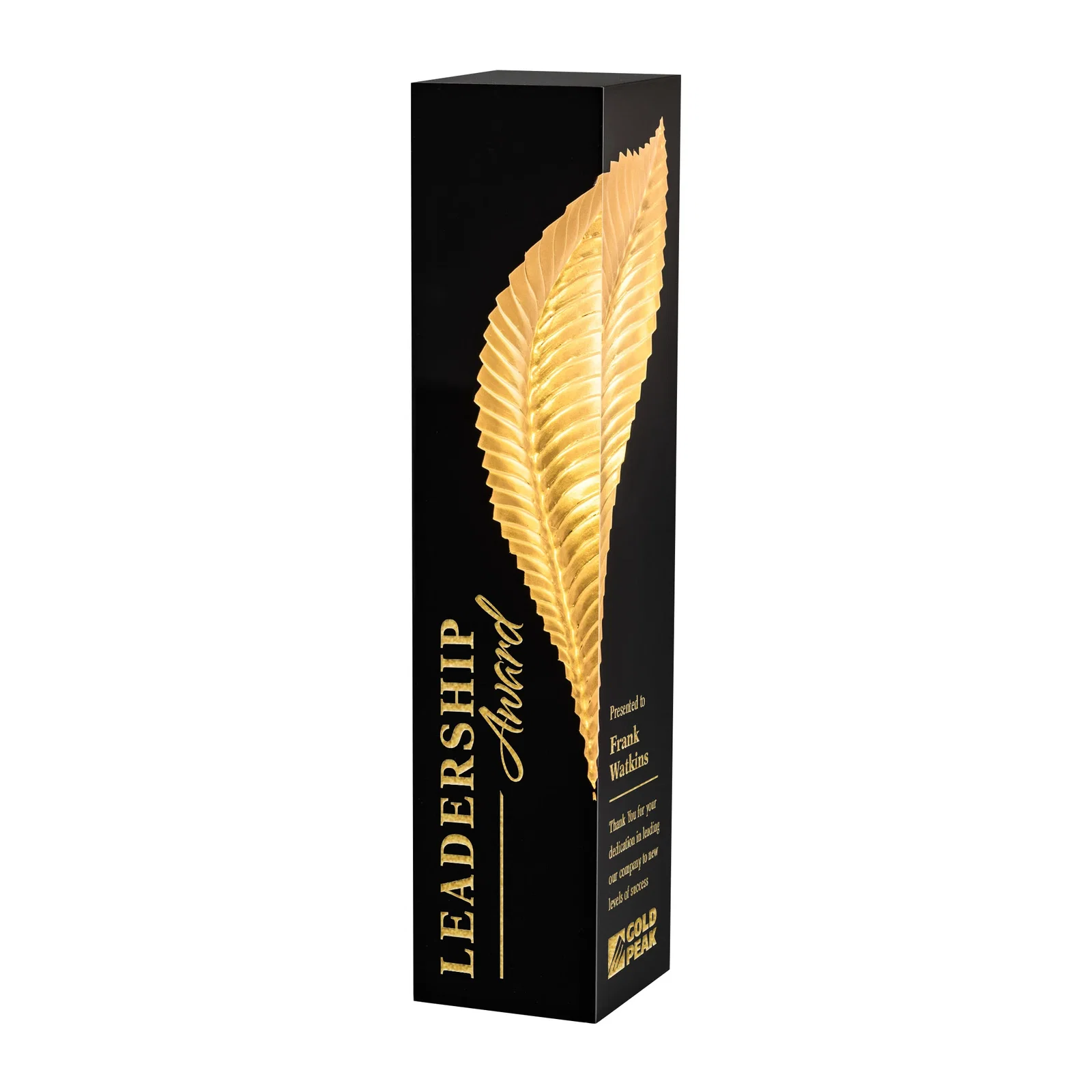 Custom Molded Gold Quill Award in Clear Lucite on Black Polystone Base, awards for corporate award ceremonies