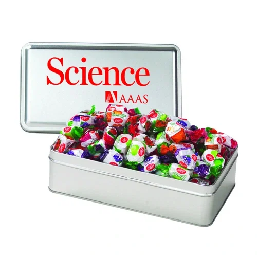 Rectangular Hinged-Lid Metal Storage Tin — view 65