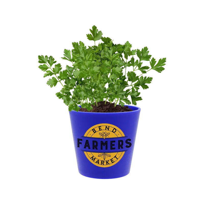 Recycled Promo Pot — view 11