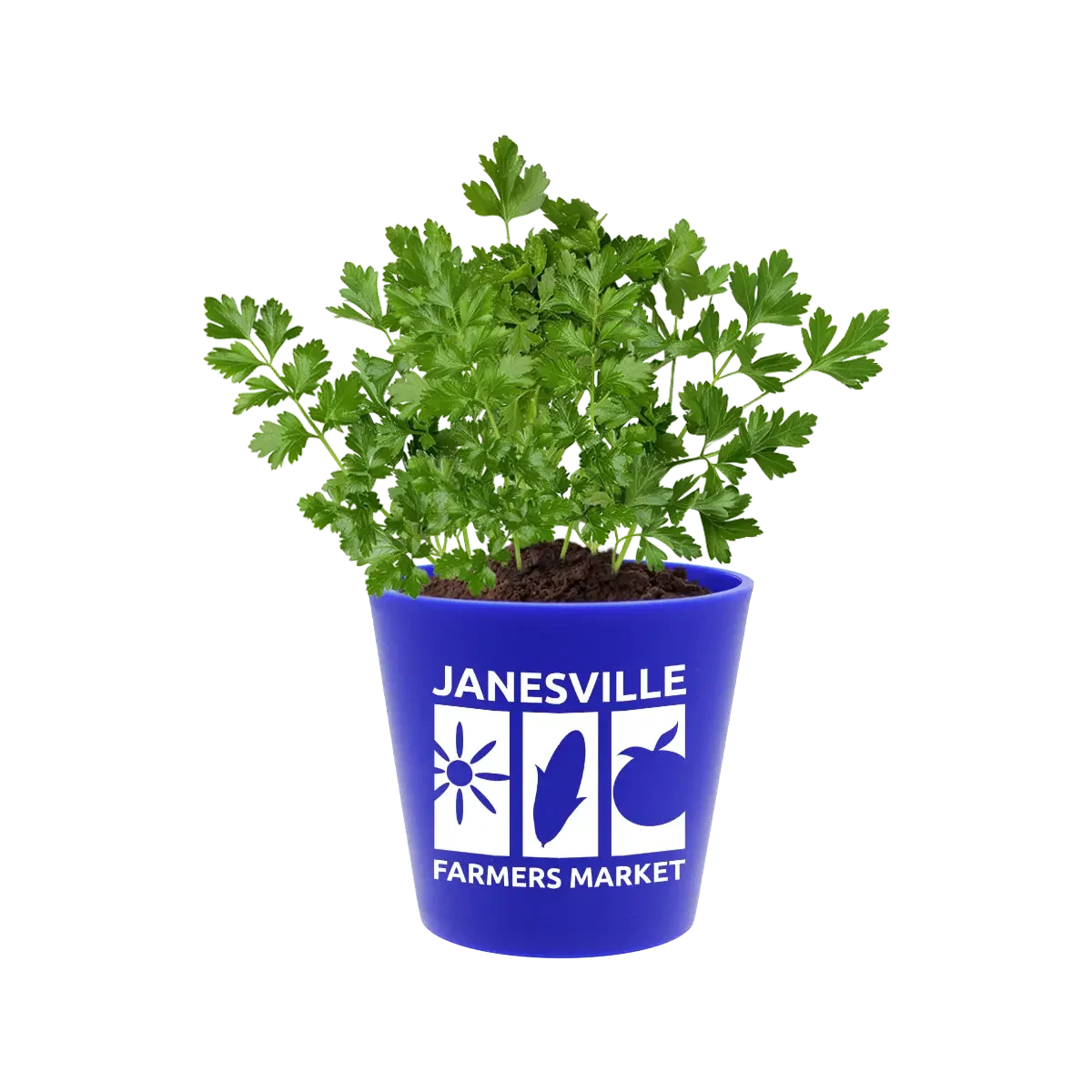Recycled Promo Pot — view 4