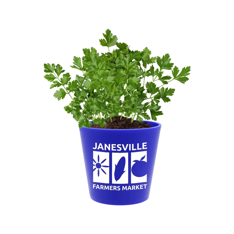 Recycled Promo Pot — view 4