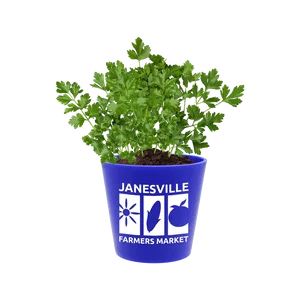 Recycled Promo Pot