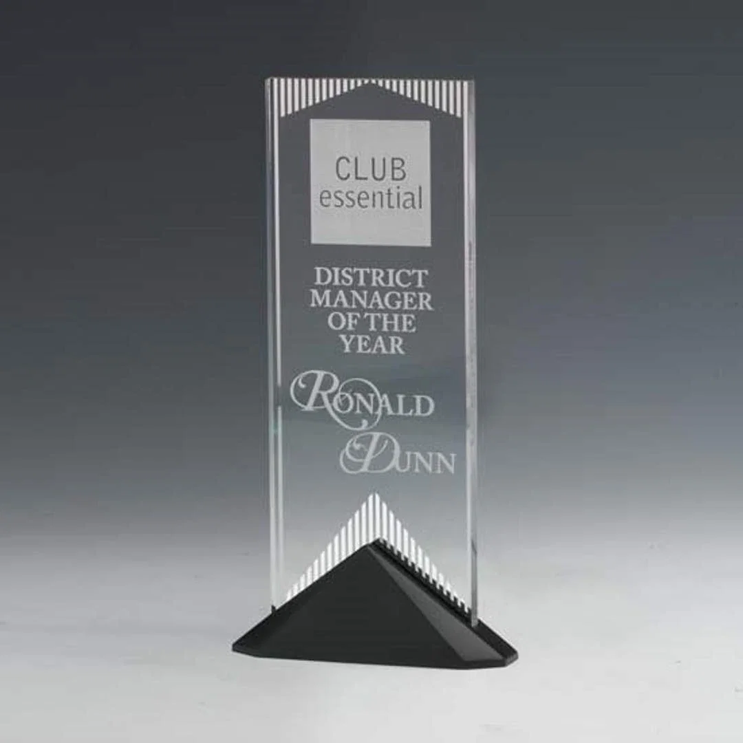 Custom Acrylic Award With Mirror Strips Screened on the Back for corporate award ceremonies