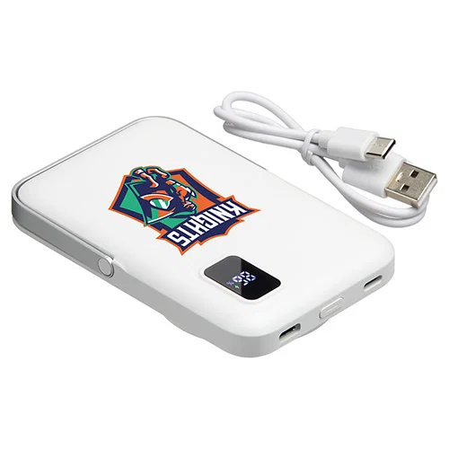 Regal promotional power bank, magnetic back detail