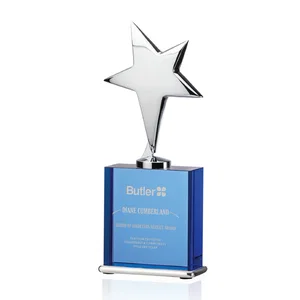 Silver Cast Metal Star Award on an Optical Crystal Base