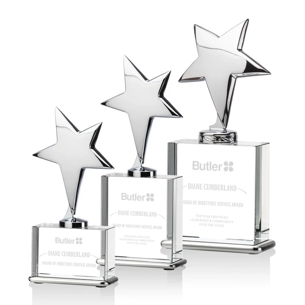 Custom Silver Cast Metal Star Award on an Optical Crystal Base for donor appreciation