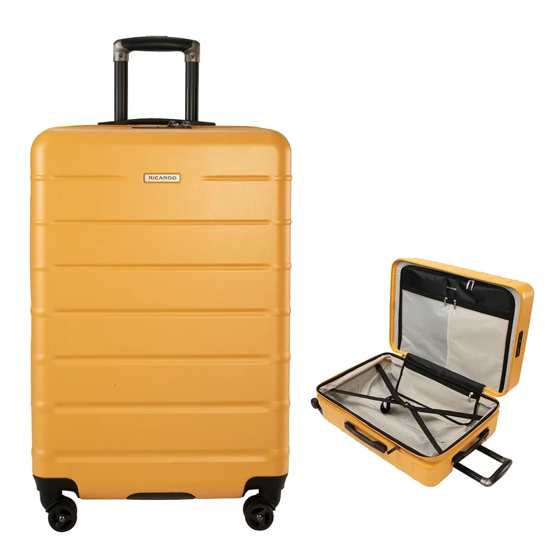 Telescoping handle raised to full height behind the case