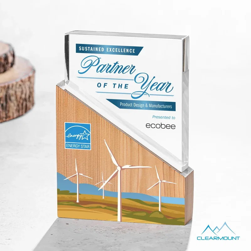 Rocheaux Award — view 7