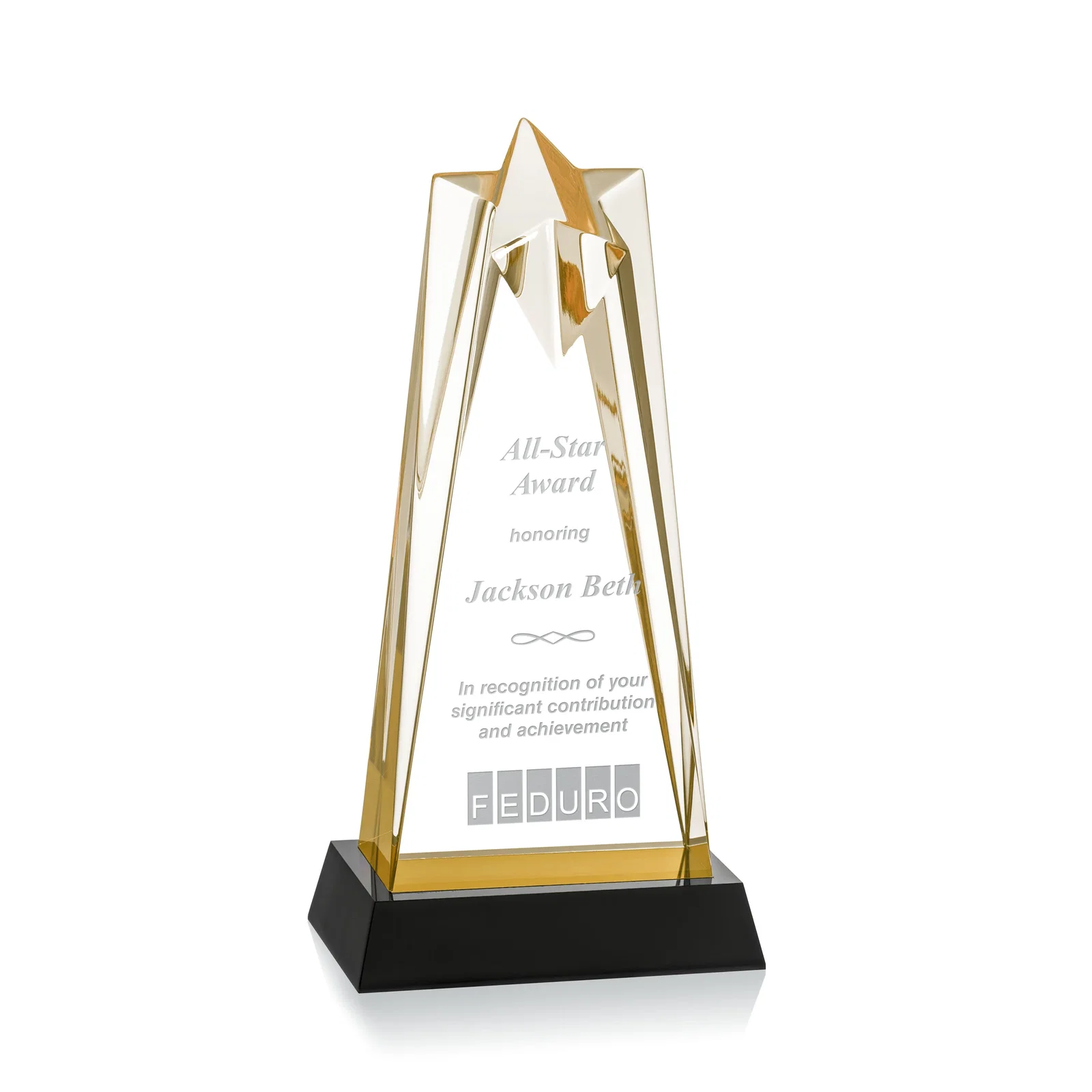 Custom Two-Piece Acrylic Star Award on Black Base, Engraved on Back for donor appreciation