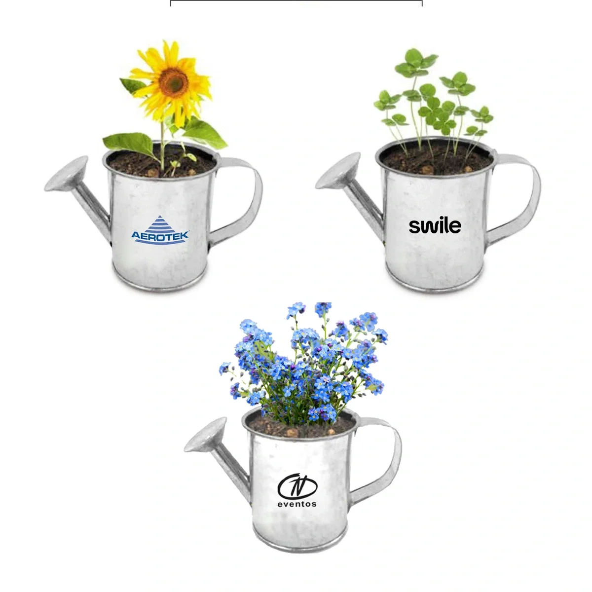 Seed Sensations Watering Can Planter — view 2