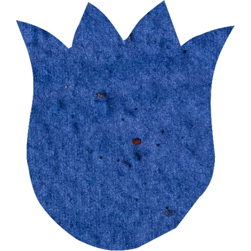 Seeded paper shape mailer card, eco-friendly recycled card stock printed design sample