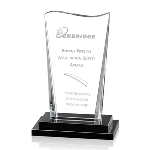 Contoured Crystal Award on Double Ebony Base