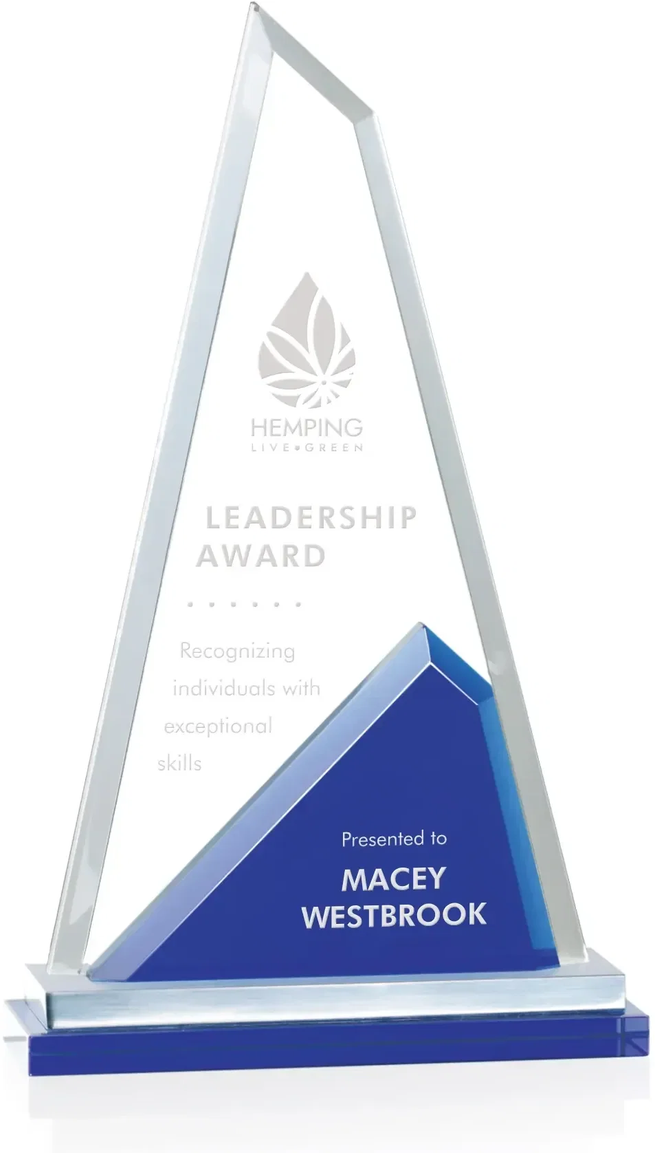 Shaftsbury Award — view 2