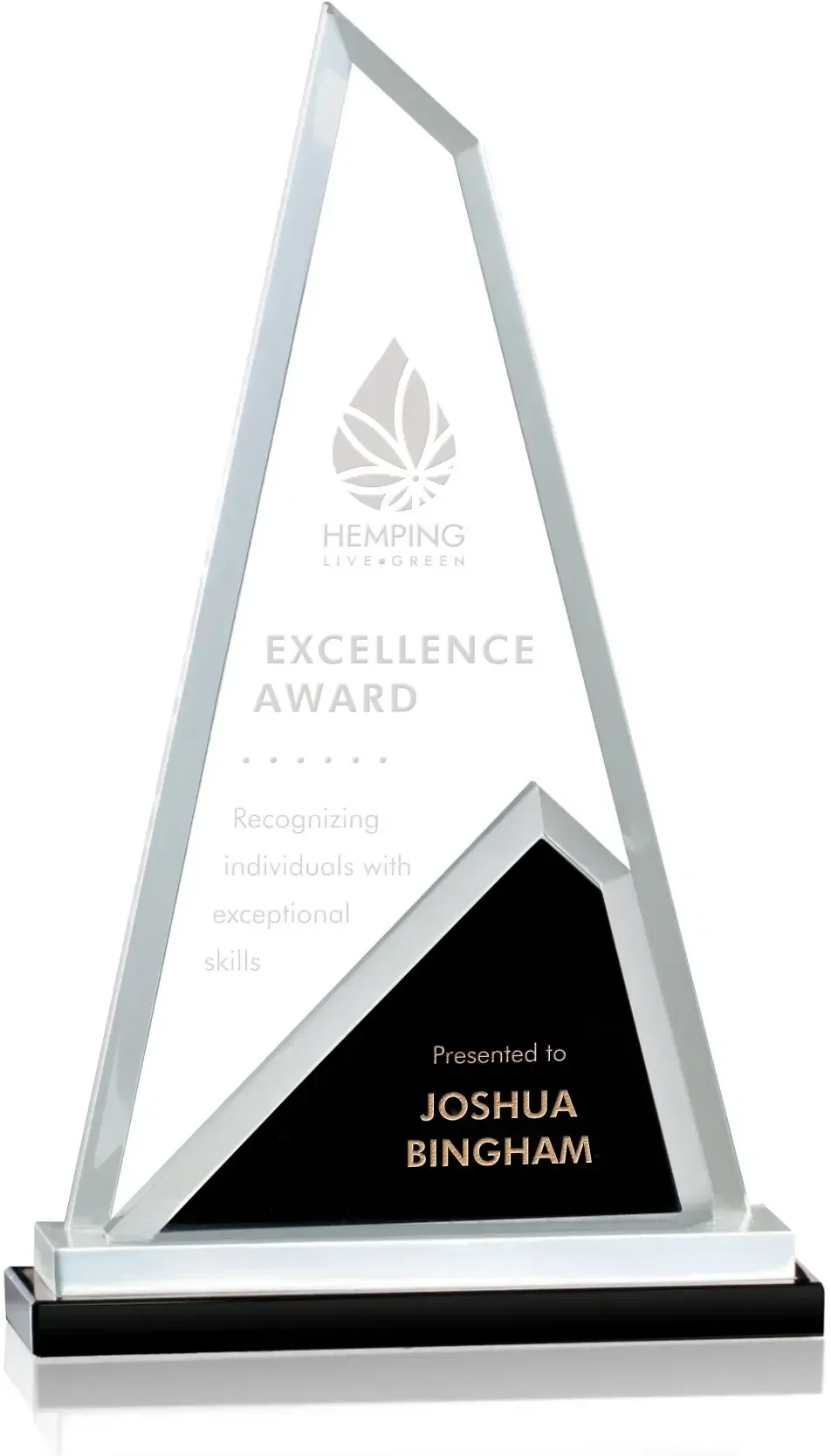 Shaftsbury Award — view 3
