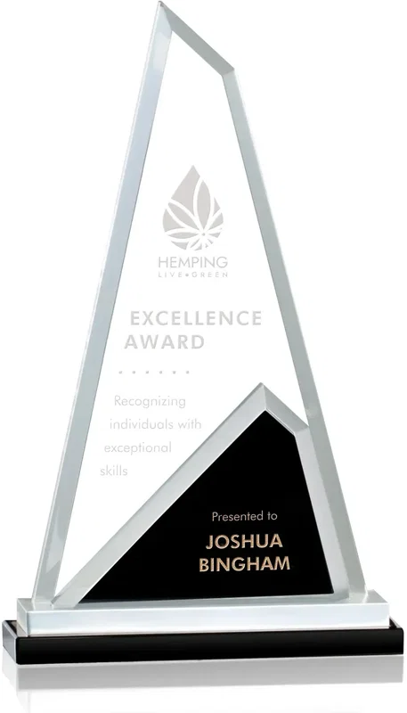 Shaftsbury Award — view 3