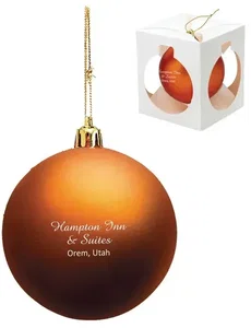 Personalized Shatter Resistant Ornament