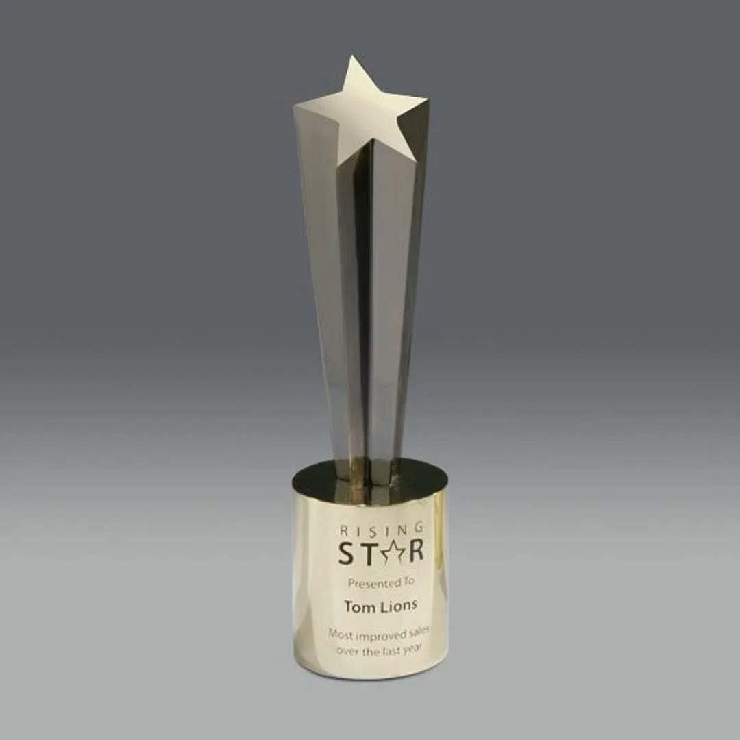 Shooting Star Award — view 5