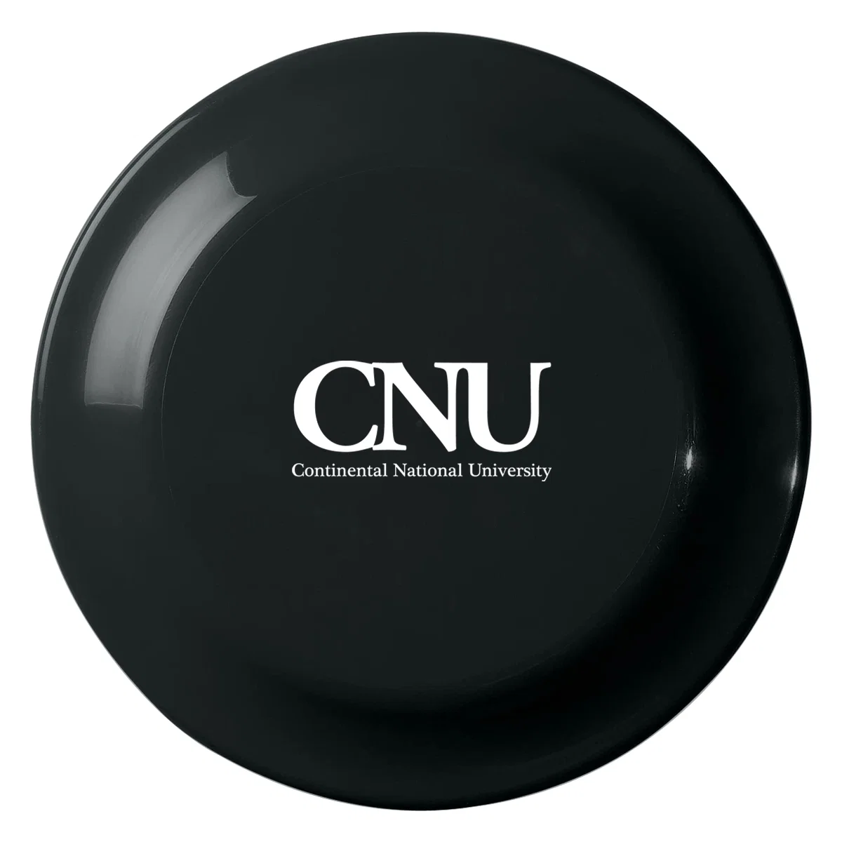 Small size disc displayed against a plain background