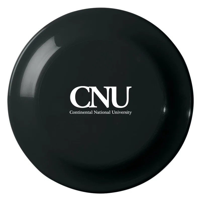 Small Flying Disc — view 2