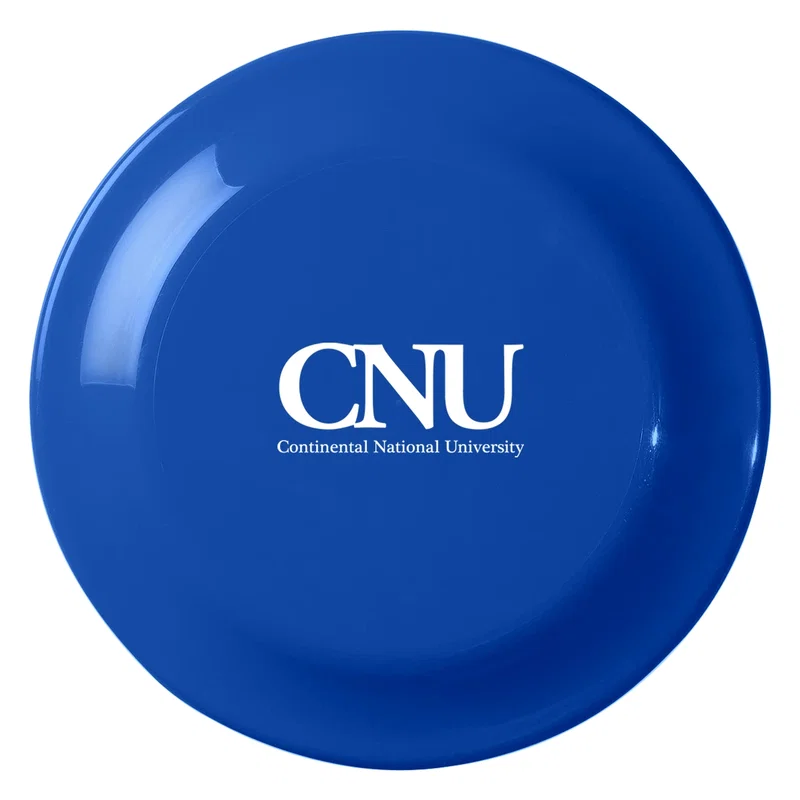 Small Flying Disc — view 3