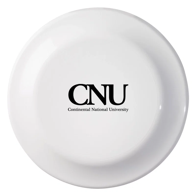 Small Flying Disc — view 5