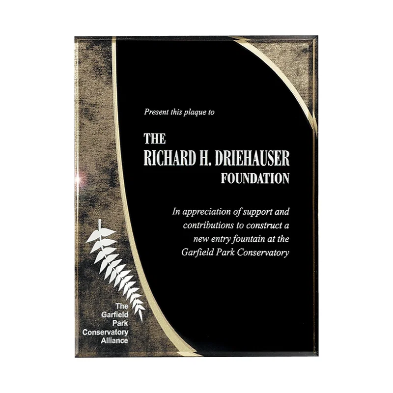 Small Halley Plaque — view 3