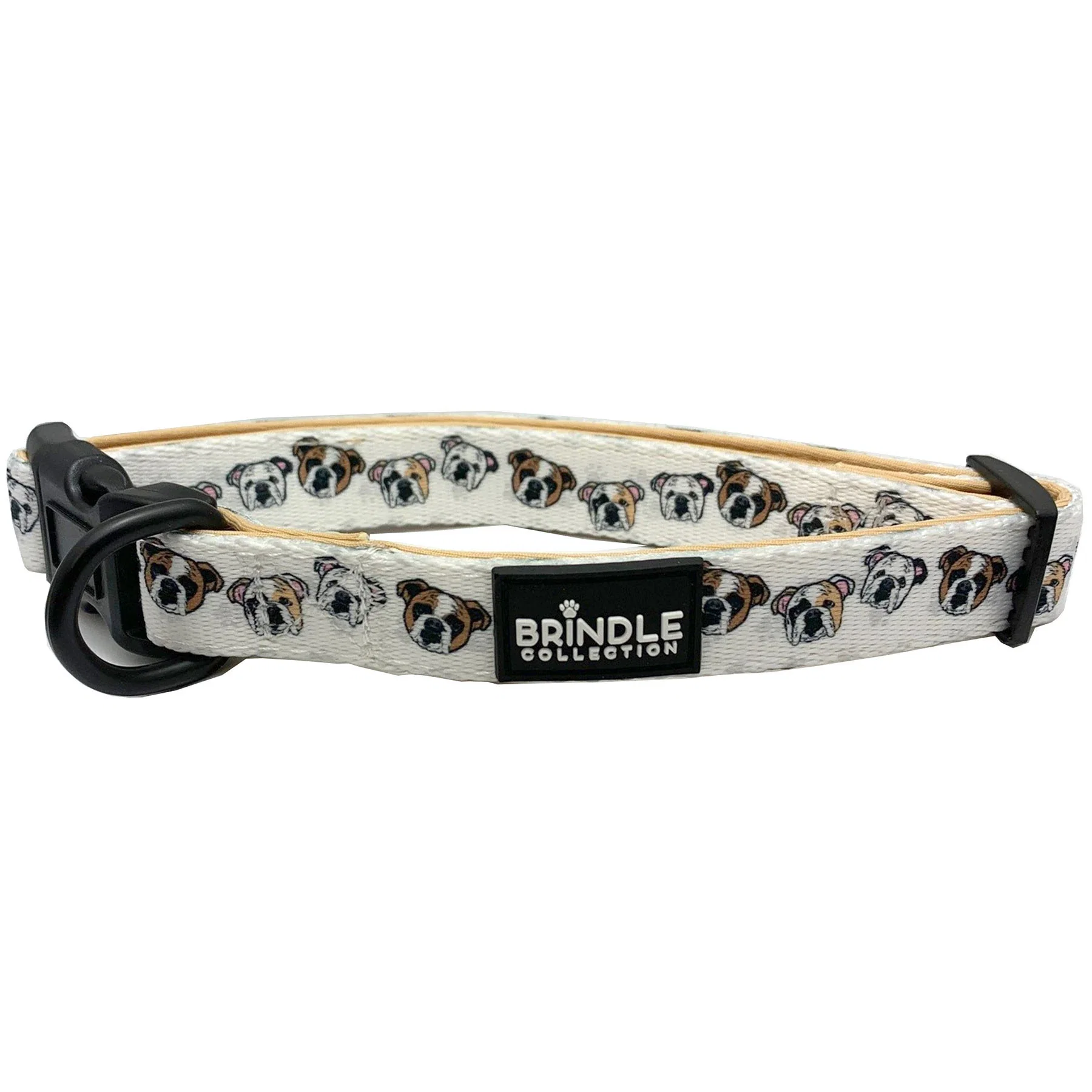 Dog Collar With Neoprene Backing Small